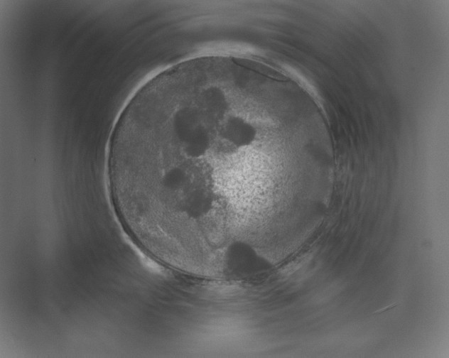 X0000074011103200609061043