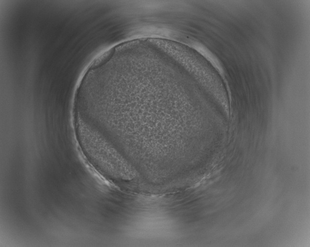 X0000074011104200609061043