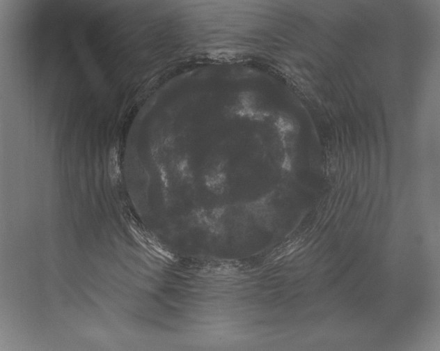 X0000074011106200609061042