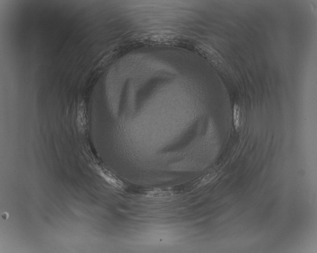 X0000074011107200609061042