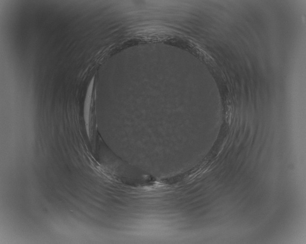 X0000074011108200609061042