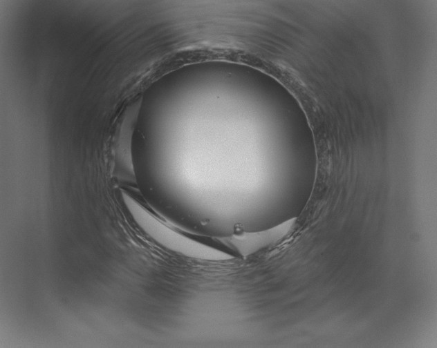 X0000074011110200609061042