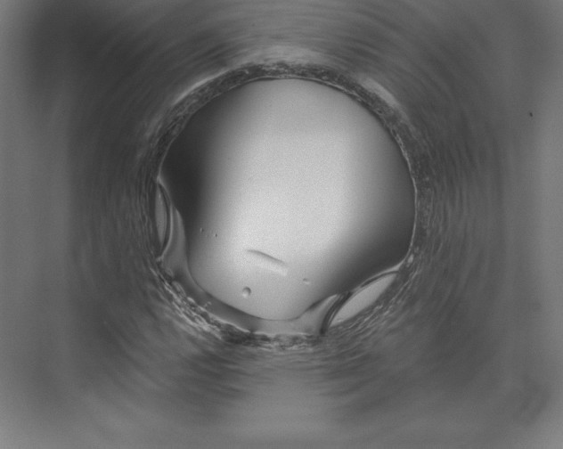 X0000074011112200609061042