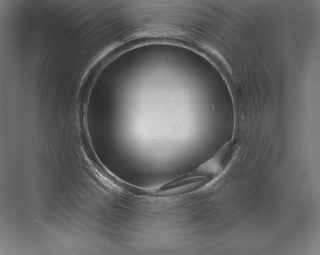 X0000074011114200609061042