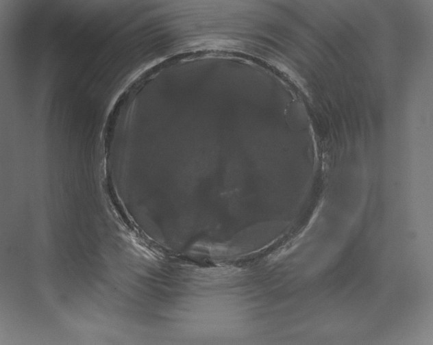 X0000074011117200609061042