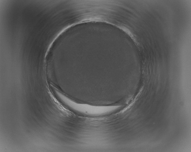 X0000074011118200609061042