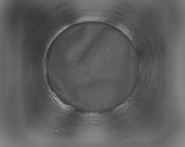 X0000074011119200609061042