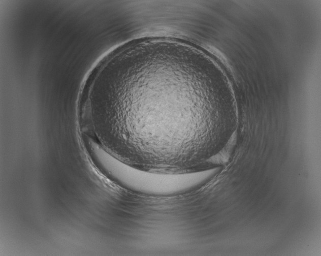 X0000074011120200609061042