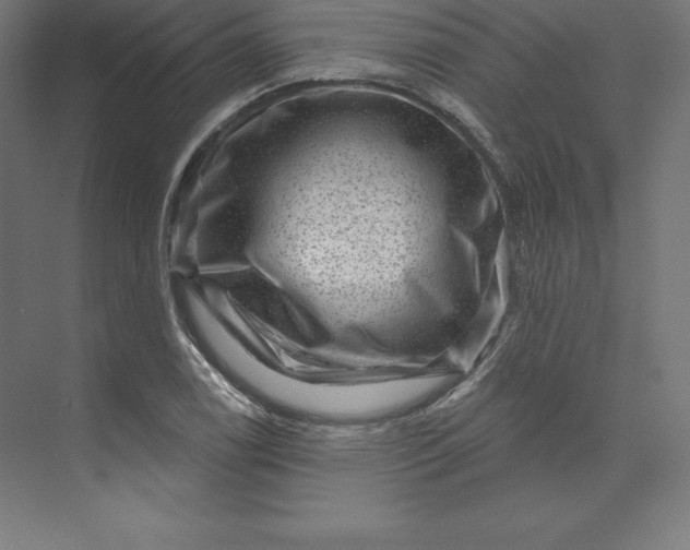 X0000074011122200609061042