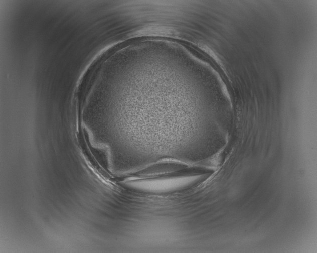 X0000074011123200609061042