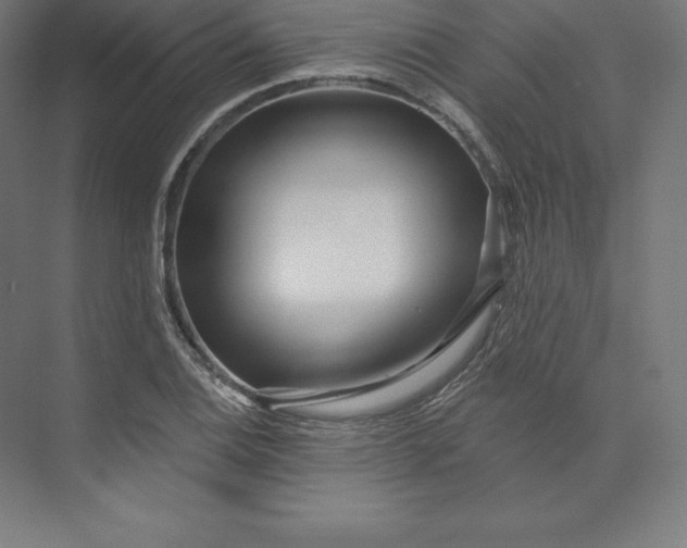 X0000074011124200609061042