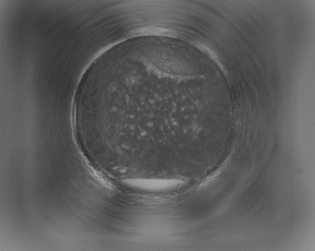 X0000074011125200609061042