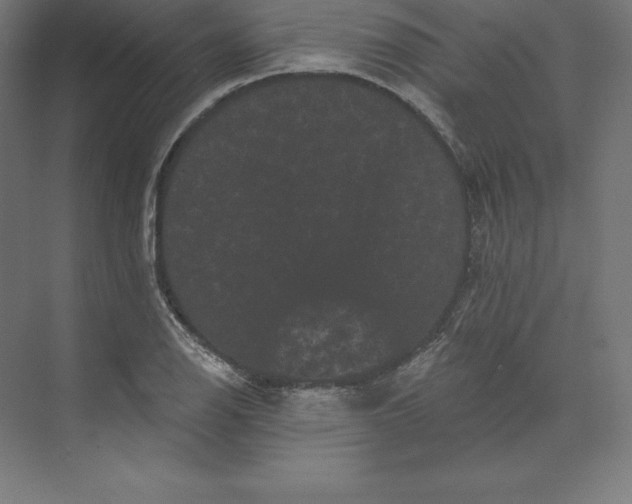 X0000074011126200609061042