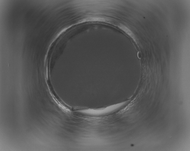 X0000074011127200609061042