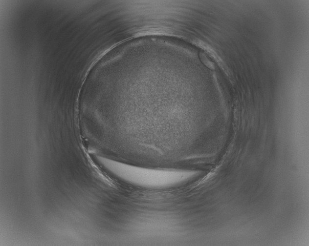 X0000074011129200609061042