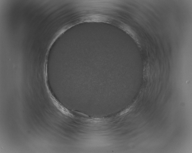 X0000074011130200609061043