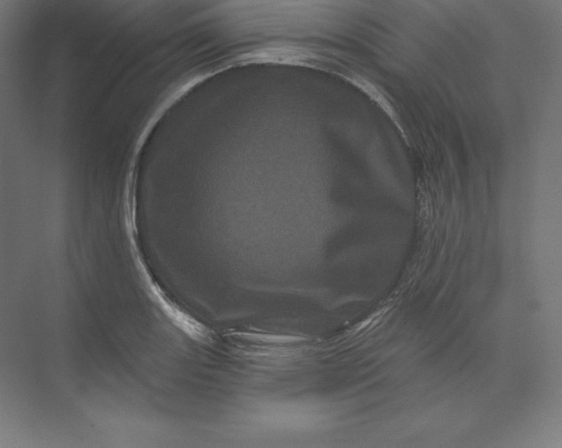 X0000074011131200609061043