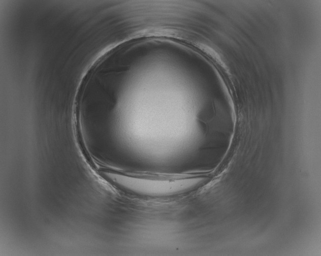 X0000074011133200609061043