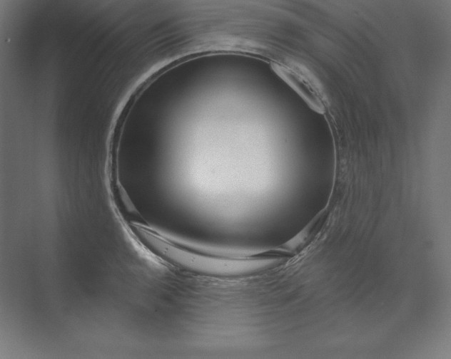 X0000074011136200609061043