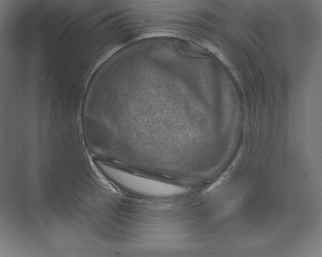 X0000074011137200609061043