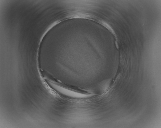 X0000074011138200609061043