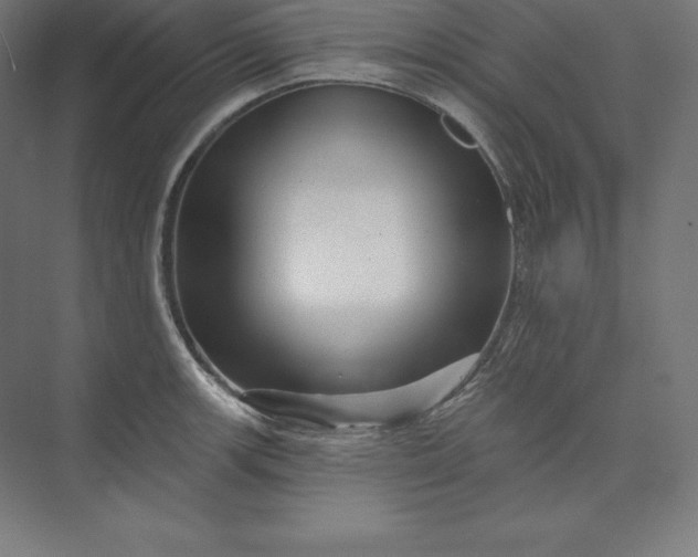 X0000074011139200609061043