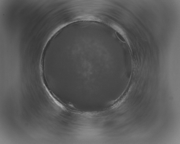 X0000074011141200609061043