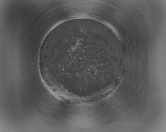 X0000074011142200609061043