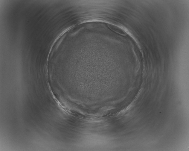 X0000074011145200609061043