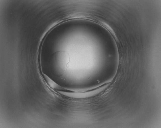 X0000074011146200609061043