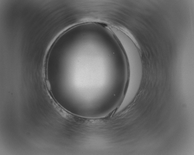 X0000074011148200609061043