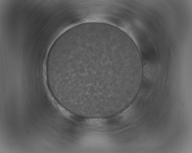 X0000074011150200609061043