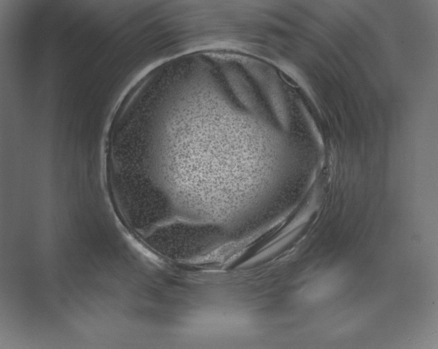 X0000074011151200609061043