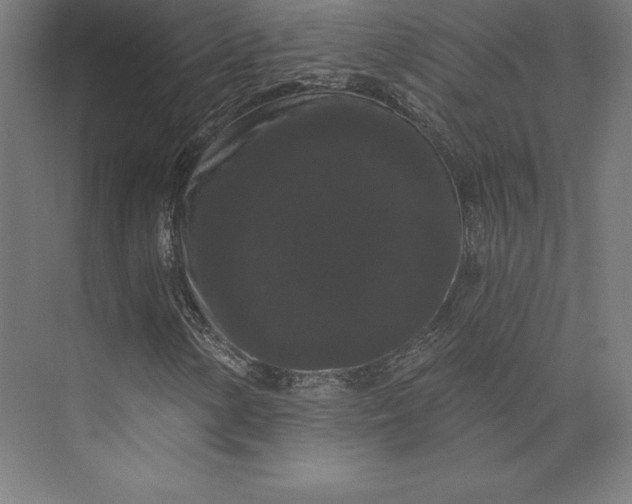 X0000074011154200609061042