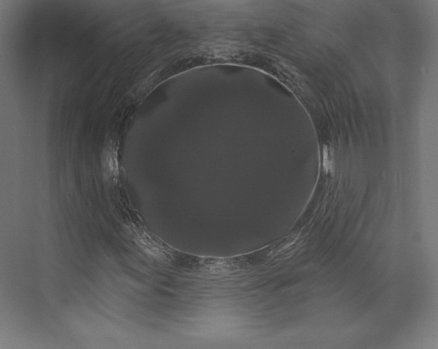 X0000074011155200609061042