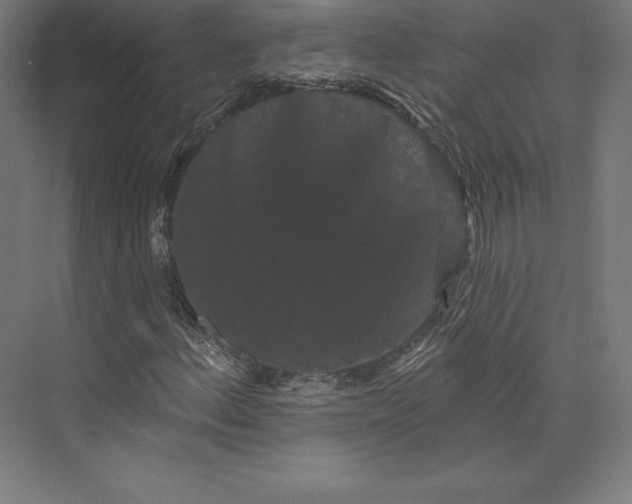 X0000074011156200609061042