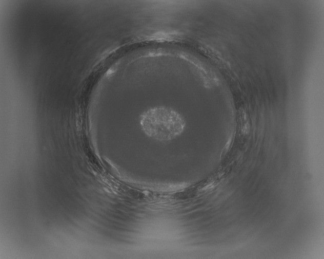 X0000074011158200609061042