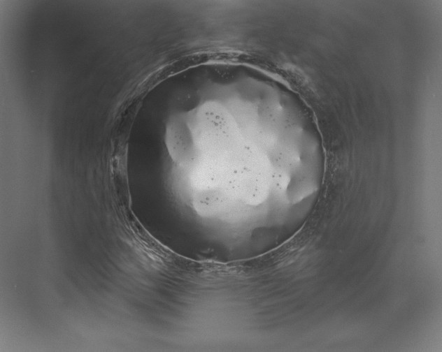 X0000074011159200609061042