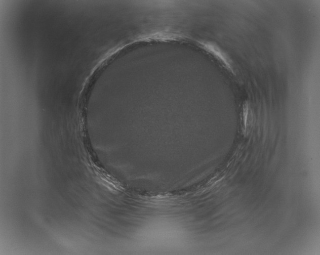 X0000074011160200609061042