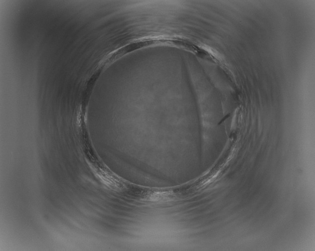 X0000074011161200609061042