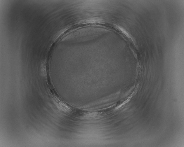 X0000074011162200609061042