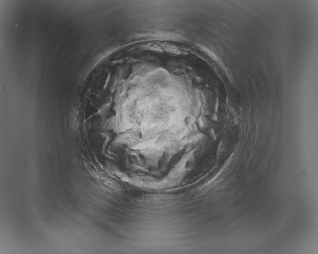 X0000074011163200609061042