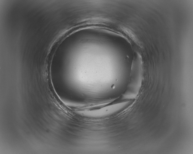 X0000074011164200609061042