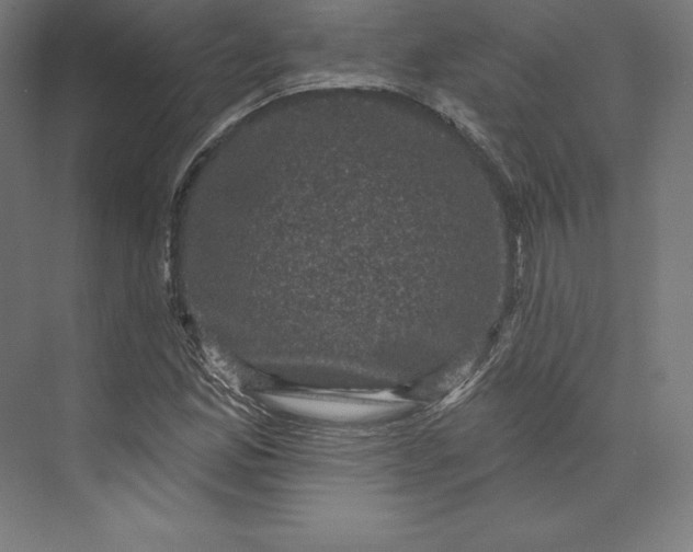 X0000074011165200609061042