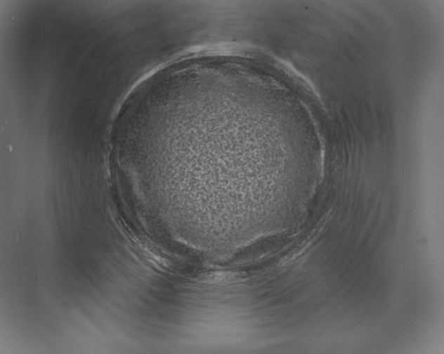 X0000074011166200609061042