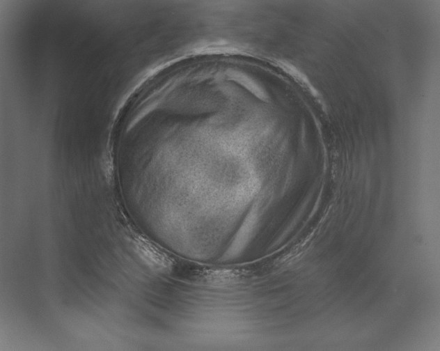 X0000074011167200609061042