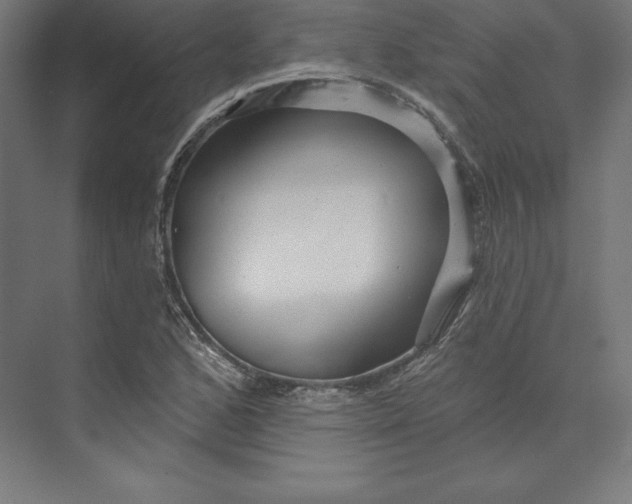 X0000074011168200609061042