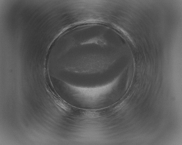 X0000074011170200609061042