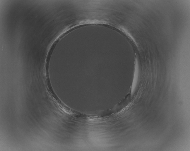 X0000074011173200609061042