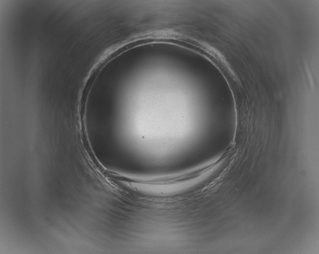 X0000074011176200609061042